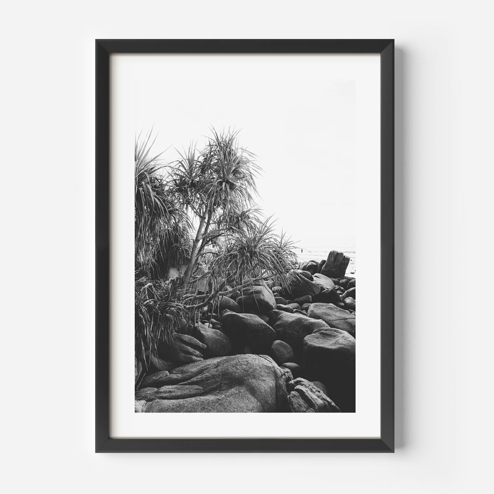 Serene Coastal Landscape with Black Rocks and Lush Tropical Foliage