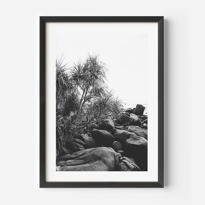 Serene Coastal Landscape with Black Rocks and Lush Tropical Foliage
