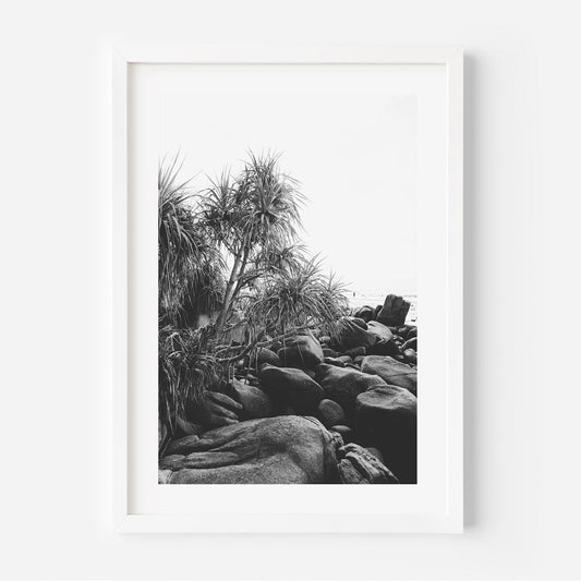 Serene Coastal Landscape with Black Rocks and Lush Tropical Foliage