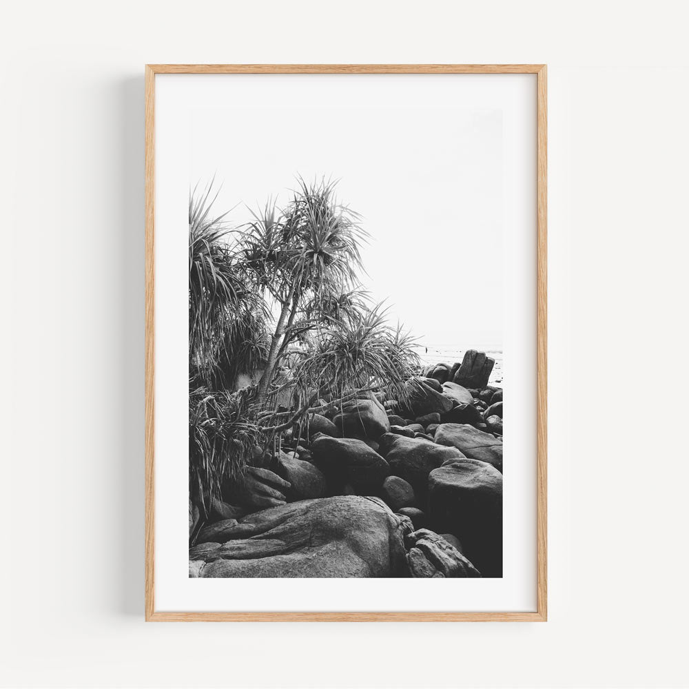 Serene Coastal Landscape with Black Rocks and Lush Tropical Foliage