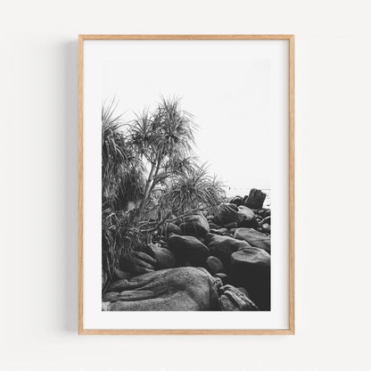 Serene Coastal Landscape with Black Rocks and Lush Tropical Foliage