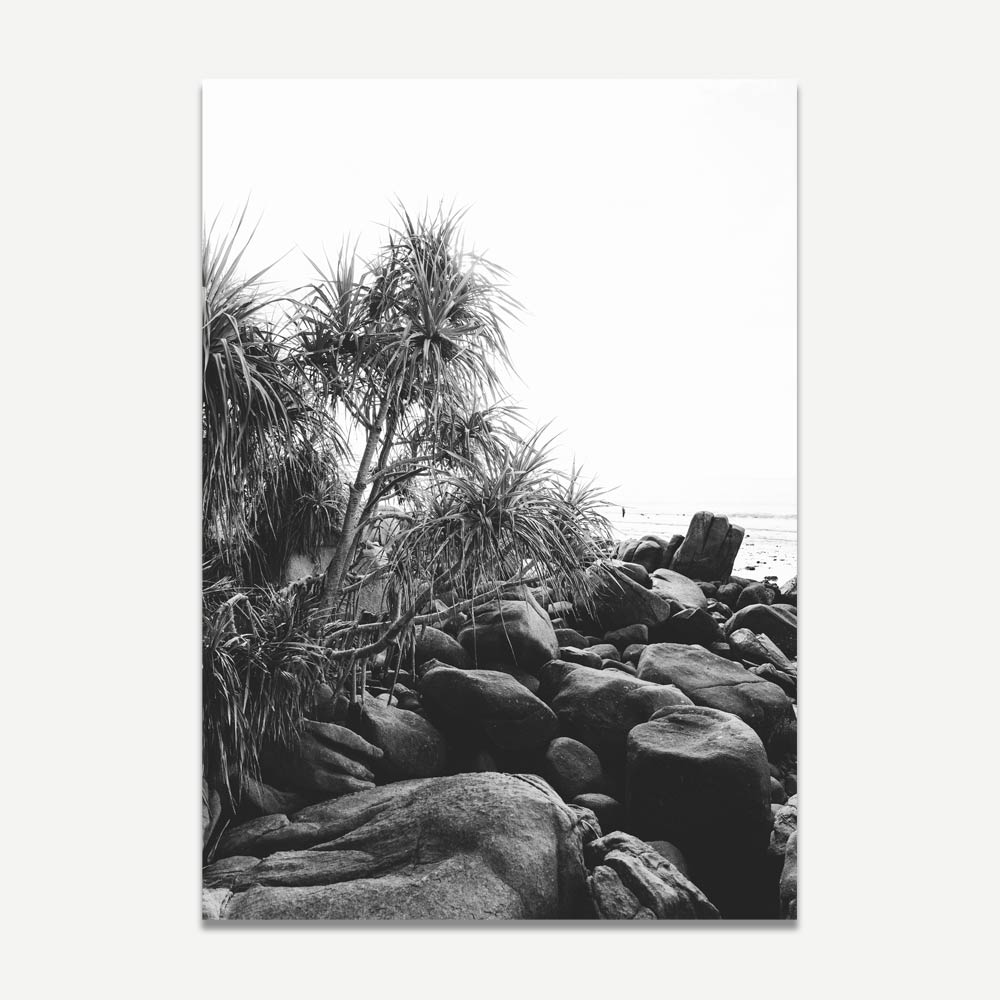 Serene Coastal Landscape with Black Rocks and Lush Tropical Foliage