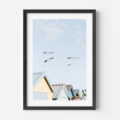 Tranquil Brighton Beach Scene with Soaring Seagulls and Vibrant Beach Huts