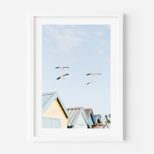 Tranquil Brighton Beach Scene with Soaring Seagulls and Vibrant Beach Huts