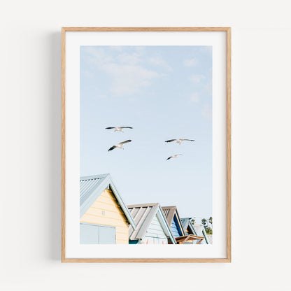 Tranquil Brighton Beach Scene with Soaring Seagulls and Vibrant Beach Huts