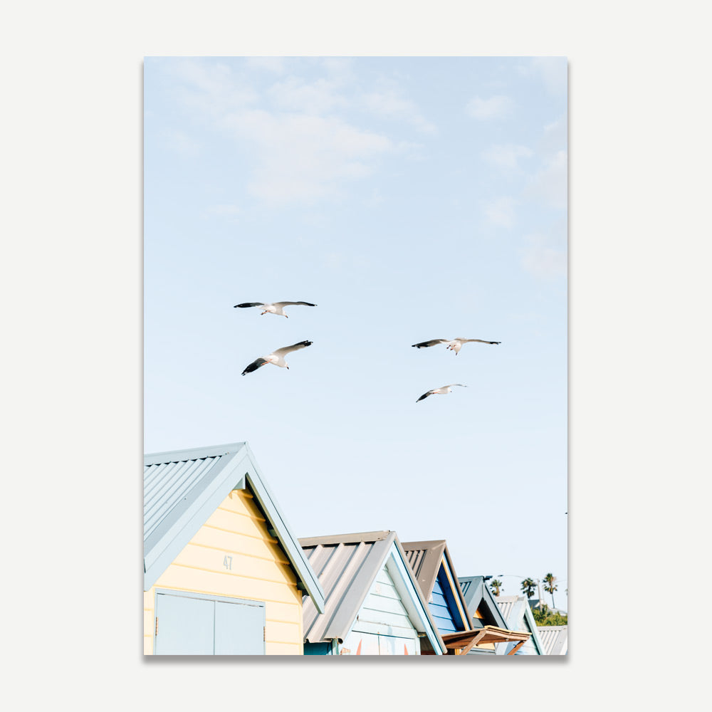 Tranquil Brighton Beach Scene with Soaring Seagulls and Vibrant Beach Huts