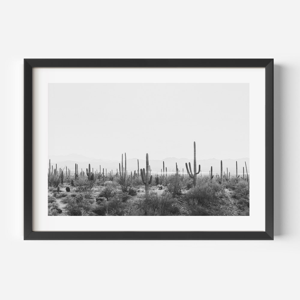 Monochrome Saguaro Cactus Landscape Art | Desert Wall Décor for Modern Homes