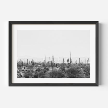 Monochrome Saguaro Cactus Landscape Art | Desert Wall Décor for Modern Homes