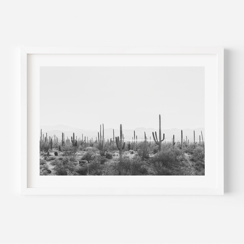 Monochrome Saguaro Cactus Landscape Art | Desert Wall Décor for Modern Homes