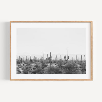 Monochrome Saguaro Cactus Landscape Art | Desert Wall Décor for Modern Homes