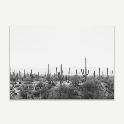 Monochrome Saguaro Cactus Landscape Art | Desert Wall Décor for Modern Homes