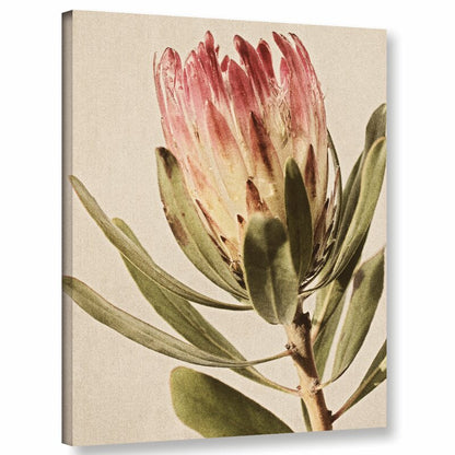 Stunning Protea Flower Oil Painting in Modern Contemporary Style