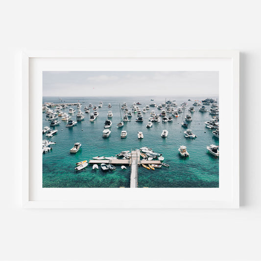 Scenic Catalina Jetty Harbour: Captivating Oil Painting of Boats and Ocean Bliss