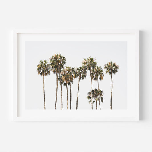 Serene Catalina Palm Trees Oil Painting for Coastal Home Décor