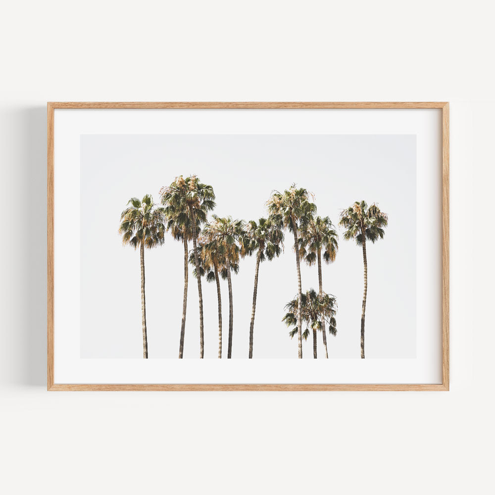 Serene Catalina Palm Trees Oil Painting for Coastal Home Décor