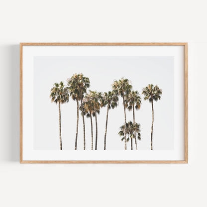 Serene Catalina Palm Trees Oil Painting for Coastal Home Décor