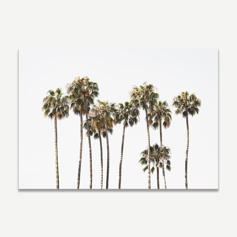 Serene Catalina Palm Trees Oil Painting for Coastal Home Décor