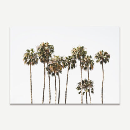 Serene Catalina Palm Trees Oil Painting for Coastal Home Décor