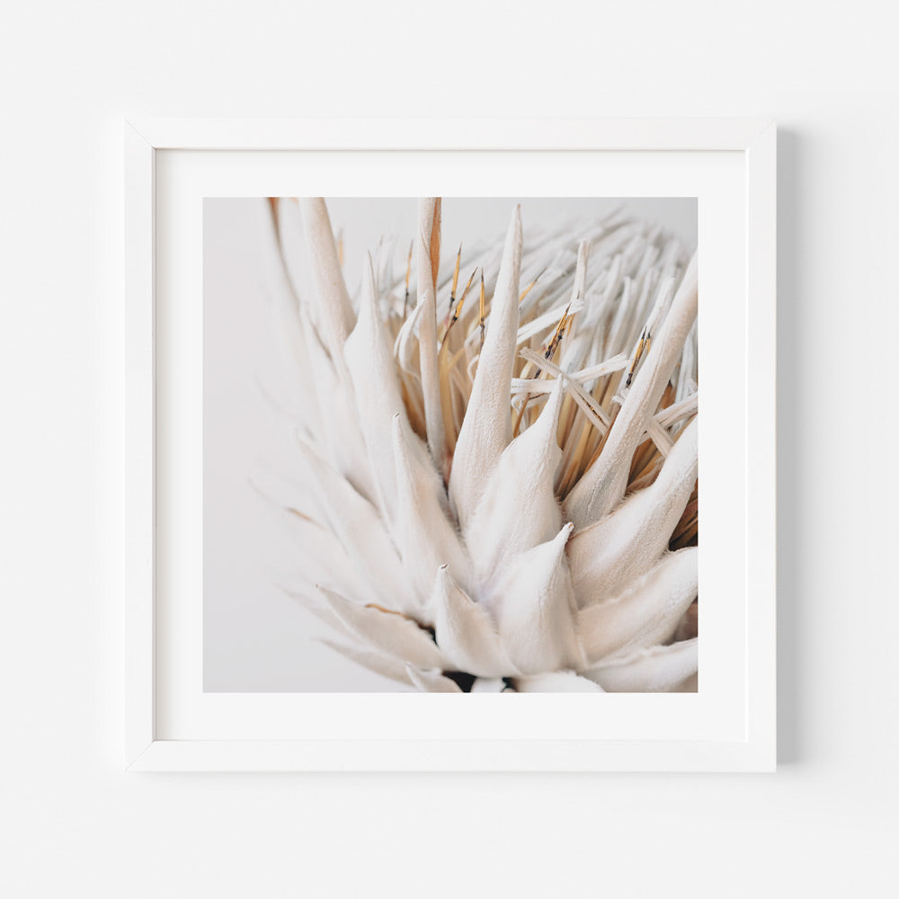 Elegant Dry Protea Floral Oil Painting for Home Decor