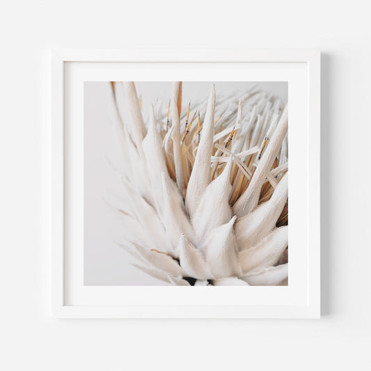 Elegant Dry Protea Floral Oil Painting for Home Decor