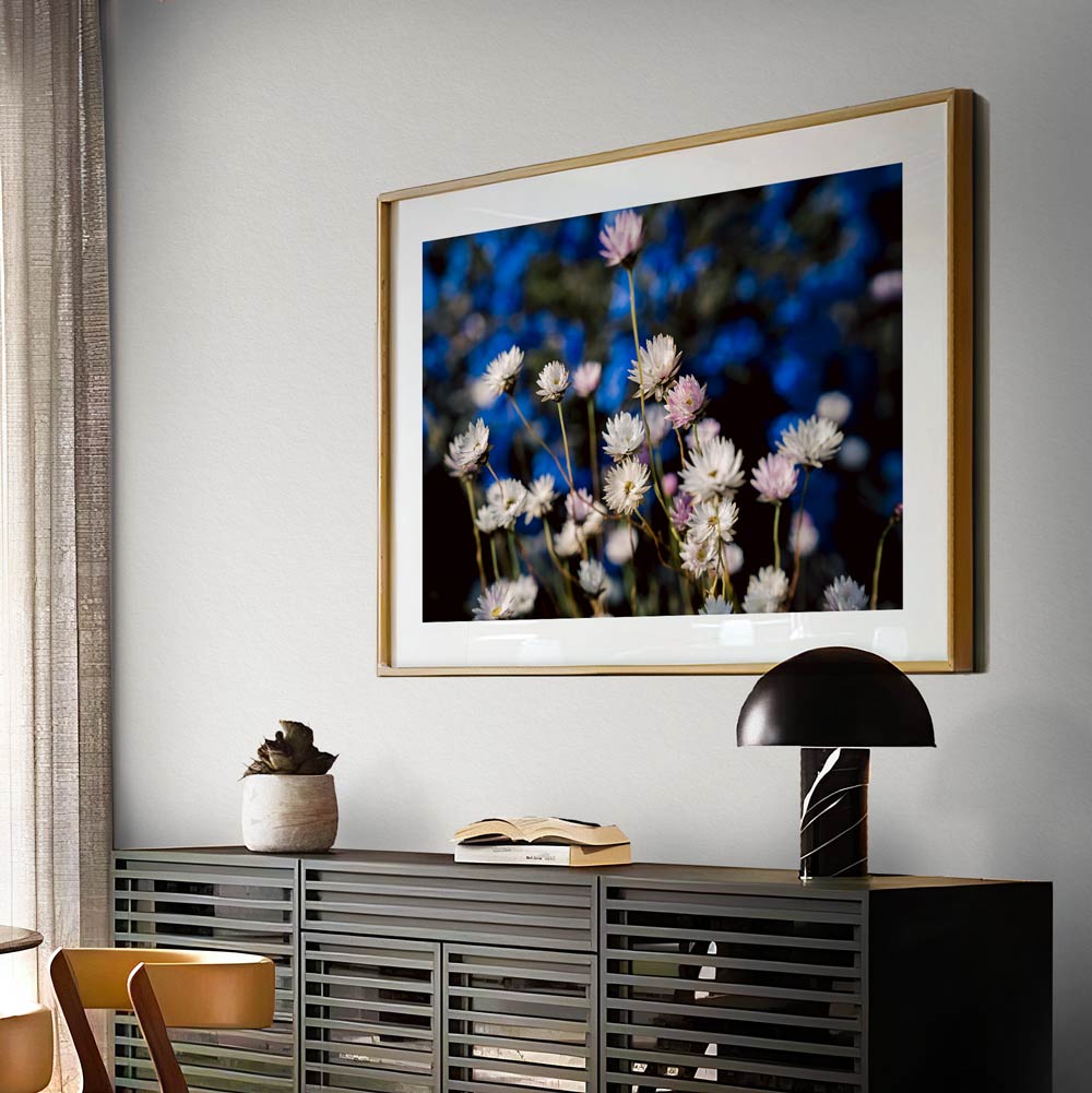 Vibrant Daisy Fields: Exquisite Floral Oil Painting for Home Decor