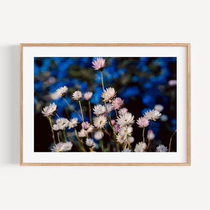 Vibrant Daisy Fields: Exquisite Floral Oil Painting for Home Decor