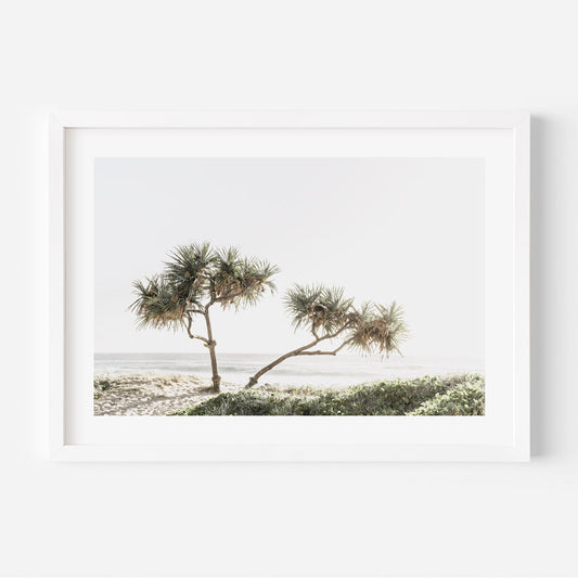 Coastal Serenity: Elegant Oil Painting of Pandanus Trees by the Beach
