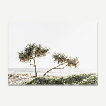 Coastal Serenity: Elegant Oil Painting of Pandanus Trees by the Beach