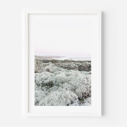Serene Coastal Landscape Oil Painting - Nature's Tranquil Beauty for Your Home Decor