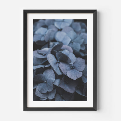 Serene Blue Hydrangeas Oil Painting for Elegant Home Decor and Floral Art Collection