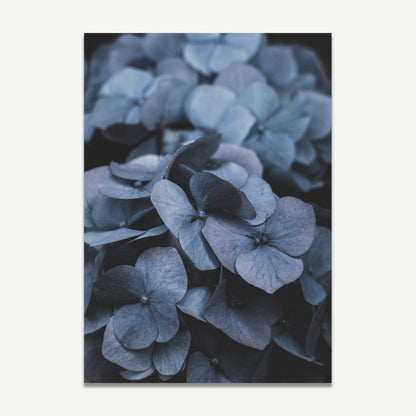 Serene Blue Hydrangeas Oil Painting for Elegant Home Decor and Floral Art Collection