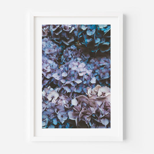 Lush Hydrangea Blooms in Serene Blue and Purple Hues - Elegant Floral Oil Painting