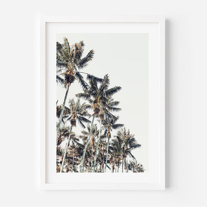 Tropical Kentia Palm Oil Painting for Coastal Home Décor