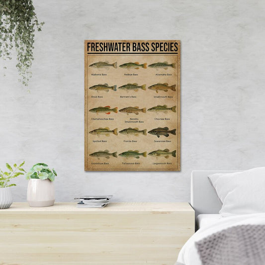 Freshwater Bass Species Art Print - Detailed Canvas Wall Decor for Fishing Enthusiasts