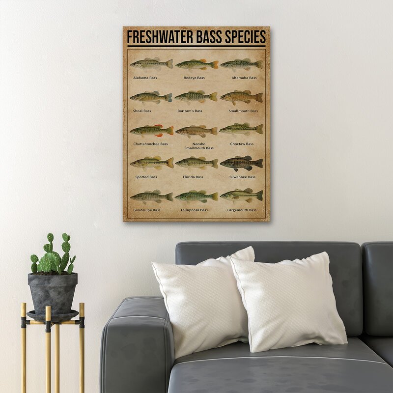 Freshwater Bass Species Art Print - Detailed Canvas Wall Decor for Fishing Enthusiasts