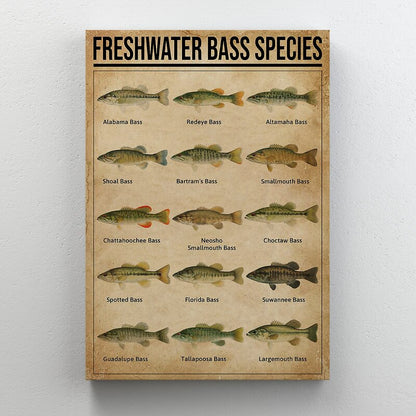 Freshwater Bass Species Art Print - Detailed Canvas Wall Decor for Fishing Enthusiasts