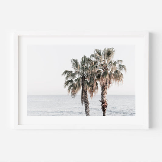 Coastal Serenity: Palm Trees by the Ocean in Soft Ocean Hues
