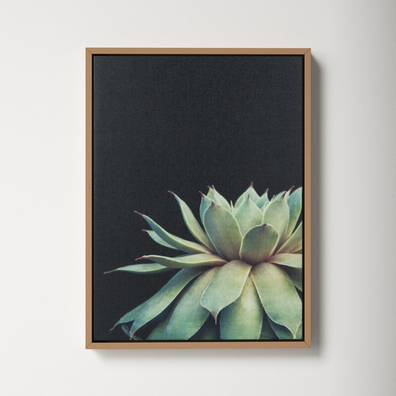 Elegant Succulent Oil Painting on Canvas for Modern Home D√©cor