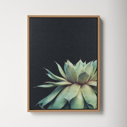 Elegant Succulent Oil Painting on Canvas for Modern Home D√©cor