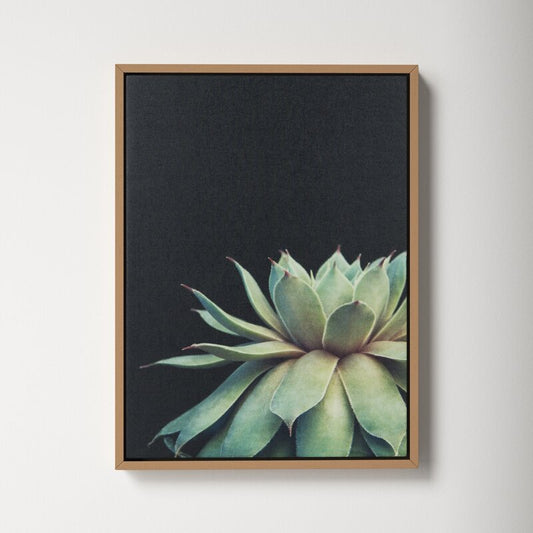 Elegant Succulent Oil Painting on Canvas for Modern Home D√©cor