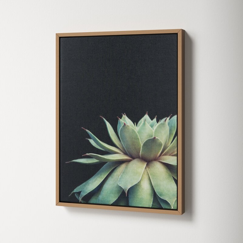 Elegant Succulent Oil Painting on Canvas for Modern Home D√©cor