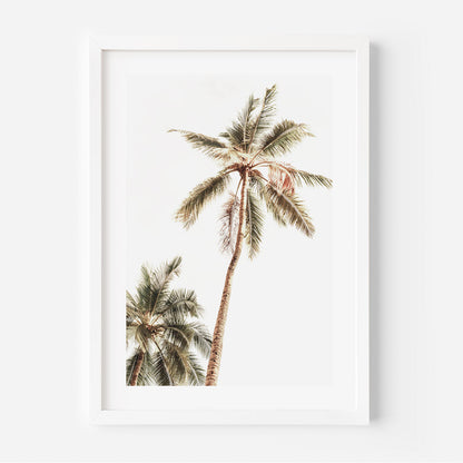 Tropical Palm Trees Art Print - Serene Oil Painting of Mexico's Coastal Beauty