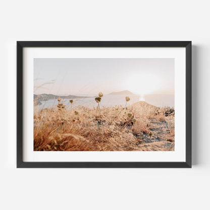 Serene Coastal Landscape with Wildflowers and Soft Sunset Hues