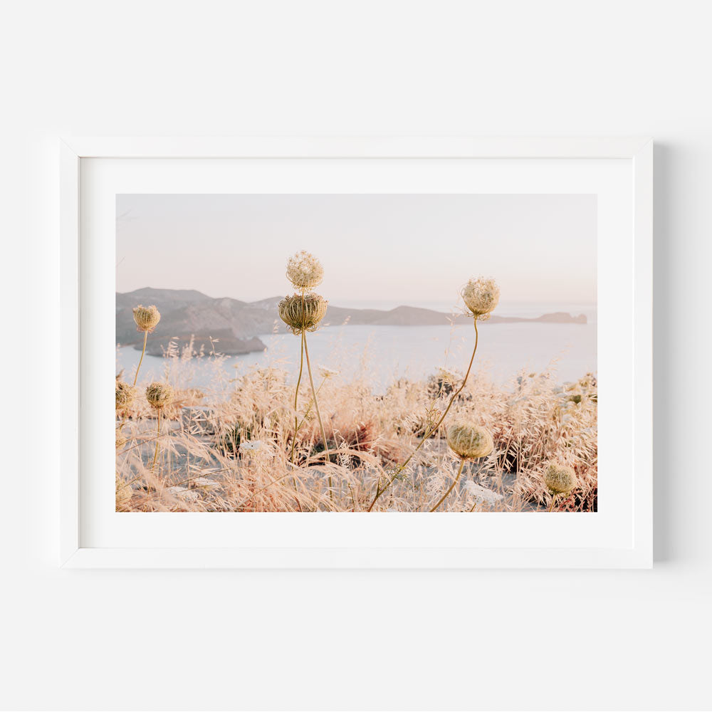 Serene Coastal Landscape with Wildflowers and Soft Sunset Hues