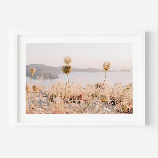 Serene Coastal Landscape with Wildflowers and Soft Sunset Hues