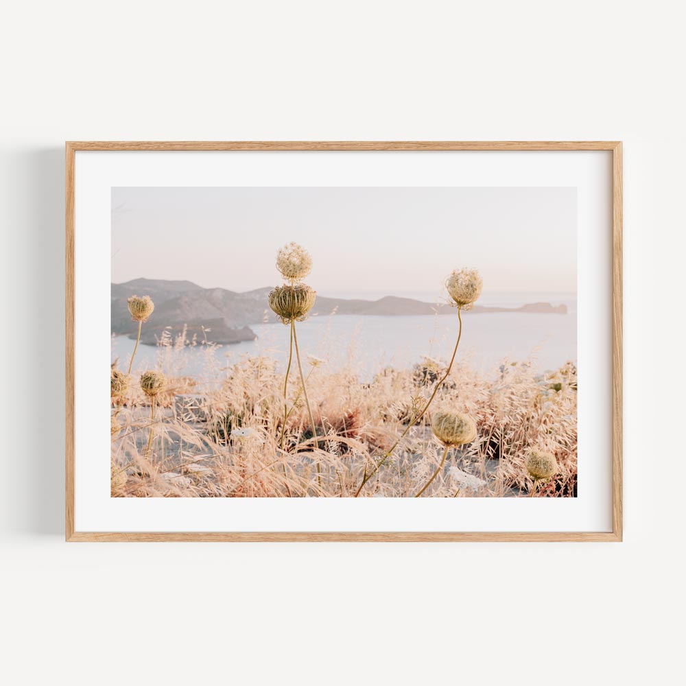 Serene Coastal Landscape with Wildflowers and Soft Sunset Hues