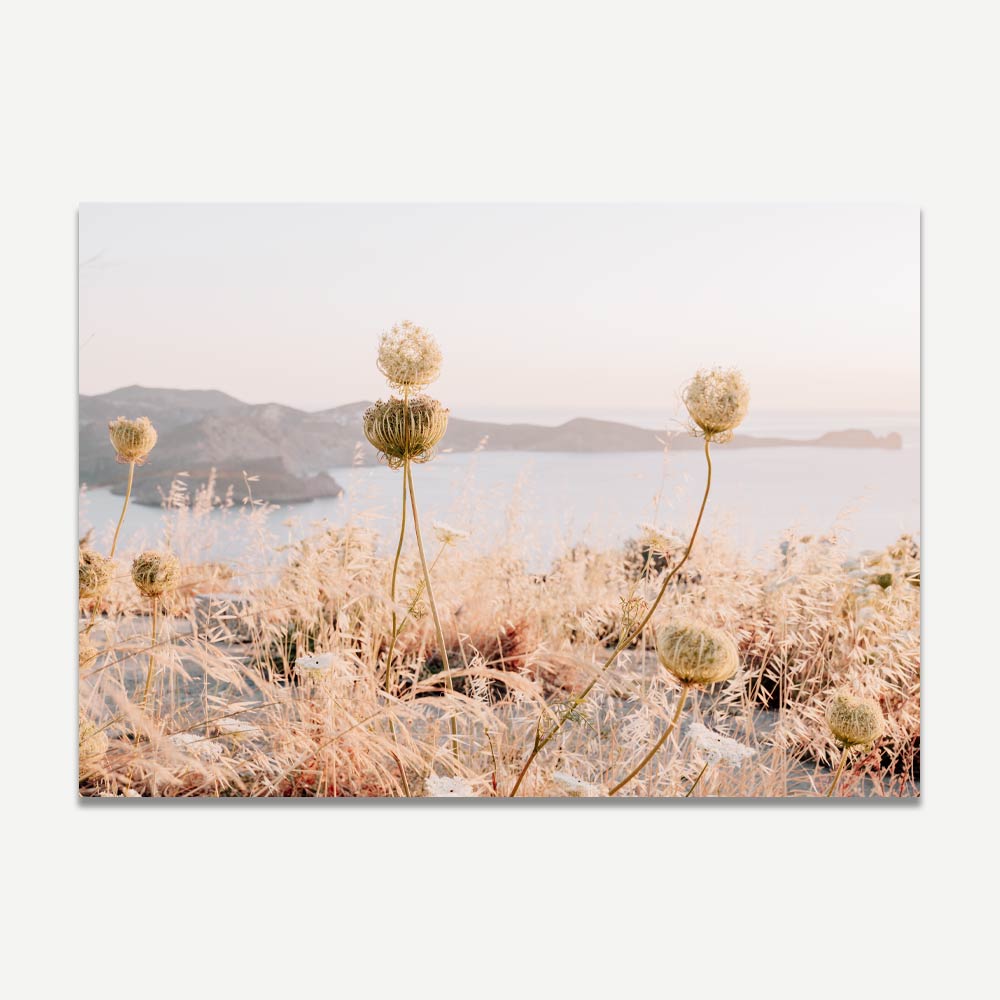 Serene Coastal Landscape with Wildflowers and Soft Sunset Hues