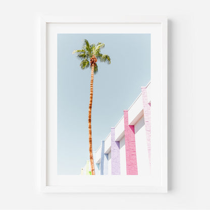 Tropical Palm and Cactus Trio with Pink Door Artwork for Modern Decor