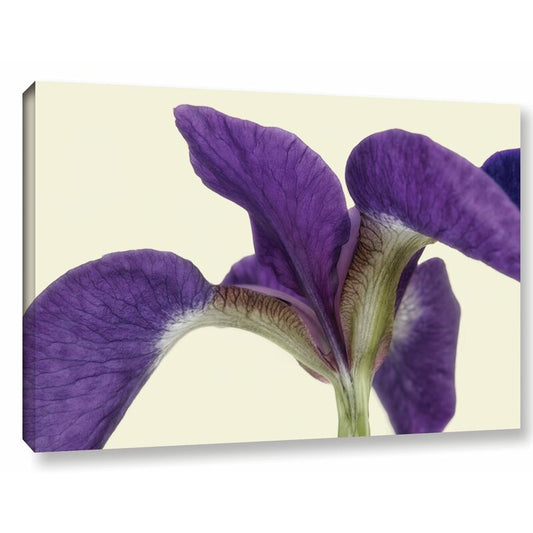 Vibrant Purple Iris Floral Oil Painting for Modern Home Decor