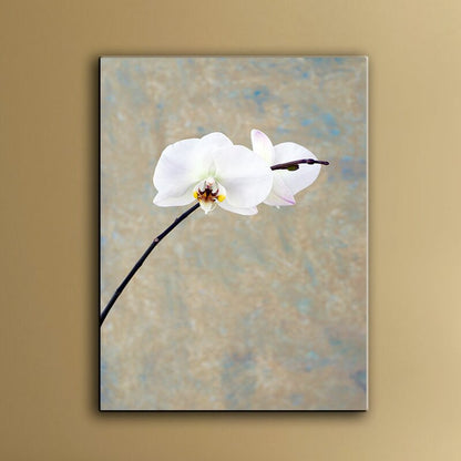 Elegant White Orchid Oil Painting for Modern Home Decor